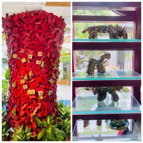 “浸润式”跟岗促成长 学思悟行共提升