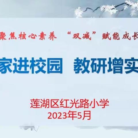 【红光路小学】专家引领助成长 不待扬鞭自奋蹄——专家进校园指导语文教学活动纪实（十九）（副本）