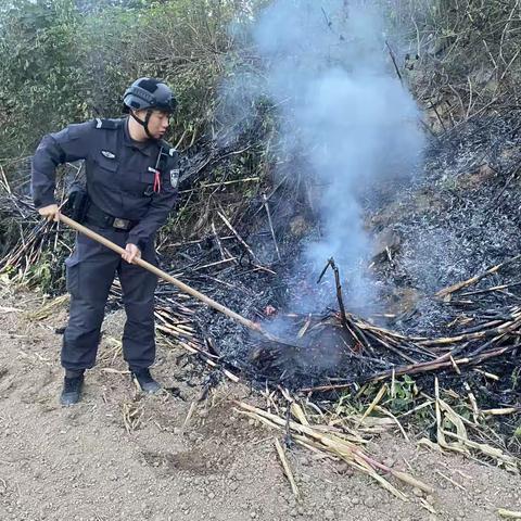 强化日常巡逻，创建平安渭北