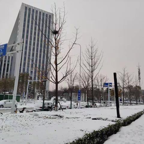 大雪纷踏至，国培正当时