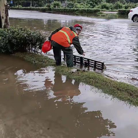 以“迅”应“汛”，全力应对本轮强降雨天气