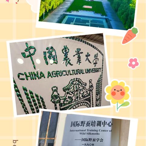 柞蚕丝语· 生命探索之旅 ‍  —农业大学一日研学