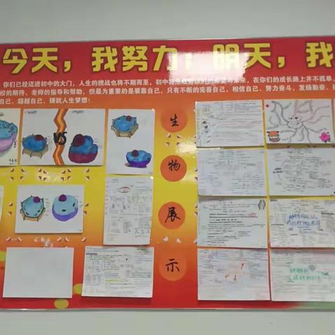 走进生物，感受生命之美——细胞绘制及思维导图