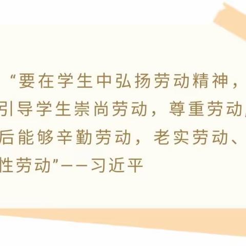 劳有所得，技有所长——灵武市第六中学八年级（6）班劳动教育实践活动之学做一道菜