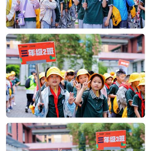 荷叶田田载童梦•荷韵悠悠伴成长