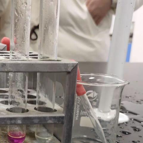 实验三:烃与高锰酸钾反应