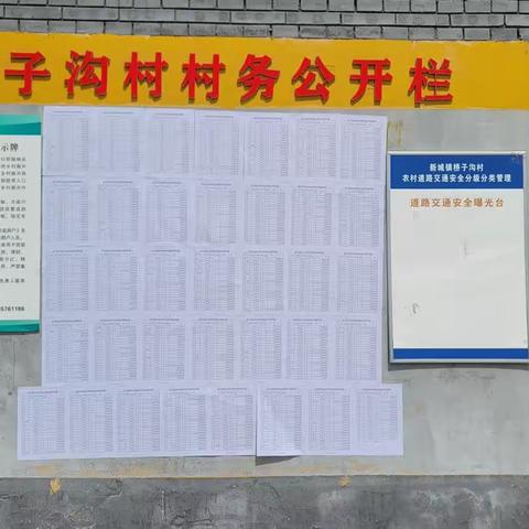 桥子沟村2024年度合作医疗补贴情况公示