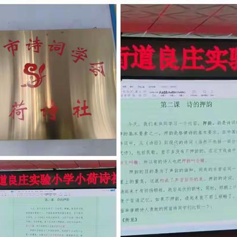 【家校合力，共筑梦想】家校联手，共筑成长路——新泰市新汶街道良庄实验小学四年一班家长驻校活动