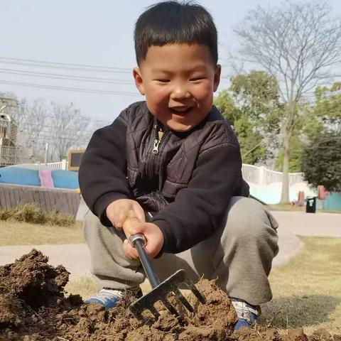 种植樱花