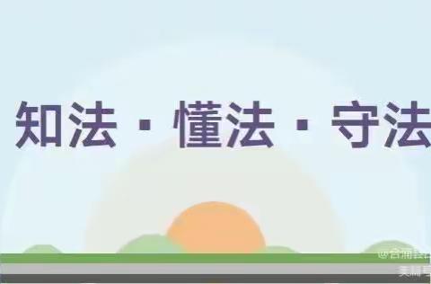 新河镇实验幼儿园法制教育宣传