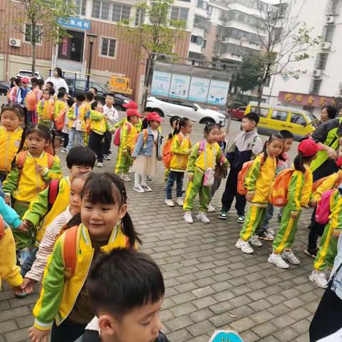 龙华幼儿园海洋馆研学之旅