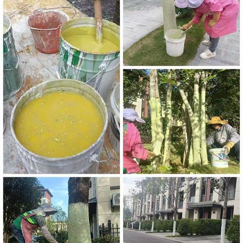 【恒泰物业】中天原著本周服务工作日常