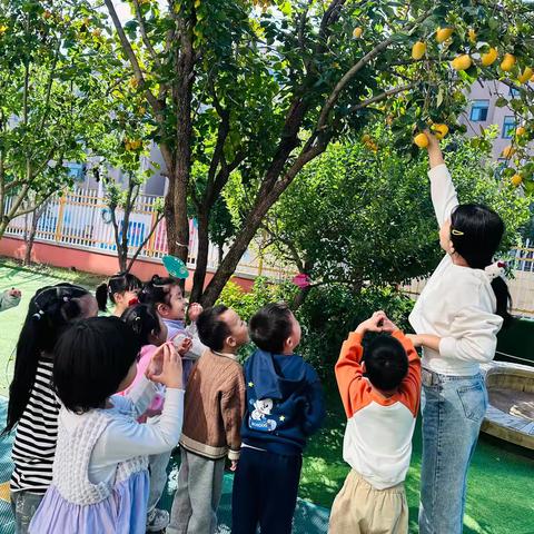 秋日暖阳，一起趣玩——诸城市东武小学附属幼儿园中二班精彩回顾