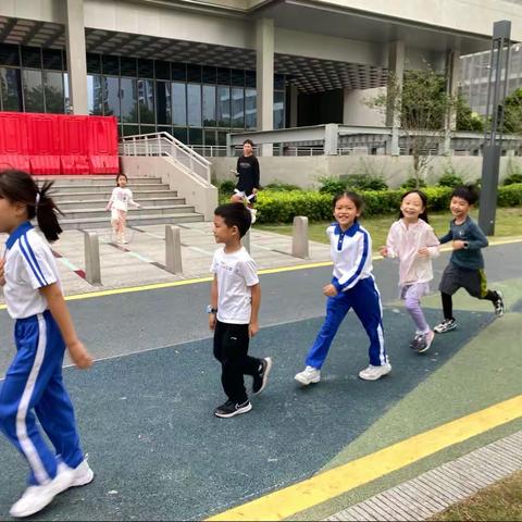 飞鸟飞鸟 展翅高飞