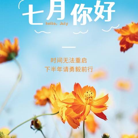 澜湾物业2025年7月物业服务月报