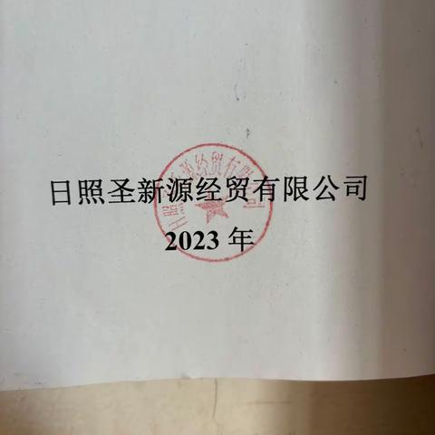 日照圣新源经贸有限公司检查组共发现15条问题