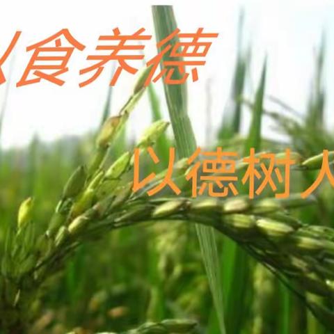 沂水县沂蒙中学食堂2023.10.30—11.3一周带量食谱