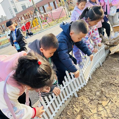 “小小植物，大大世界”湖滨新区幼儿园中五班种植区。