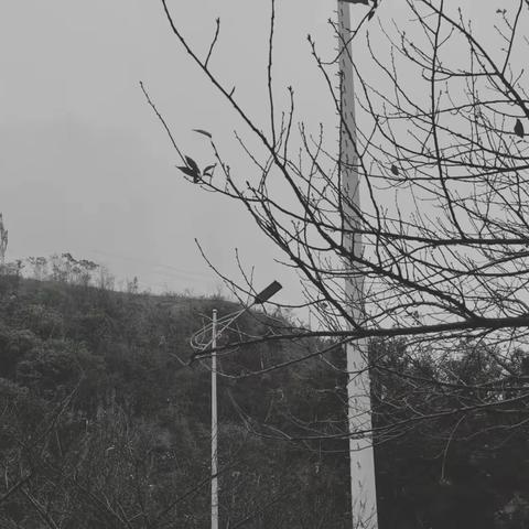 秋
