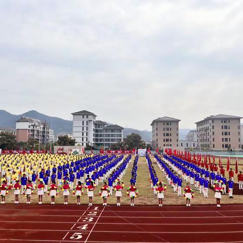 《凝心聚力燃激情，运动展风采》