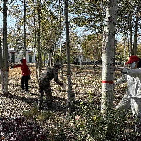 我为树木“穿新衣”—红石湾服务部党支部贯彻落实主题教育活动，开展树木涂白活动