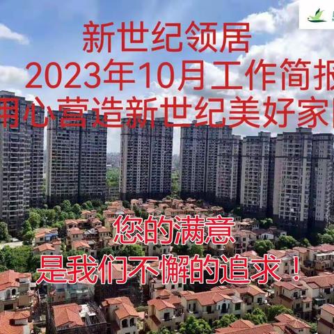 新世纪领居2023年10月工作简报