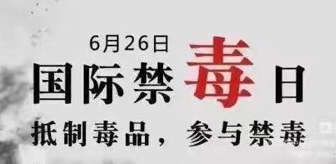 西庄小学：喜迎二十大，禁毒保平安