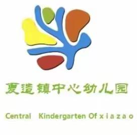 【奋斗有我，实干争先】“阅读丰底蕴，书香润心灵”——夏造镇中心幼儿园教师读书分享会