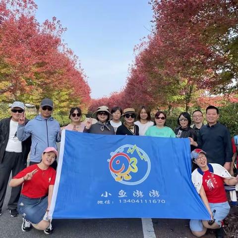 2023.11.4（周六）滁州琅琊山.遵阳老街一日游