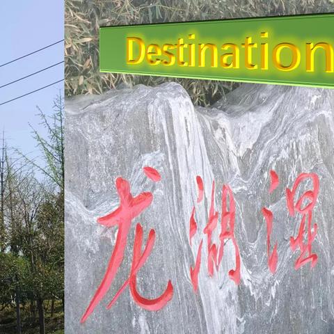 春的脚步，超越梦想假日小队快乐春游