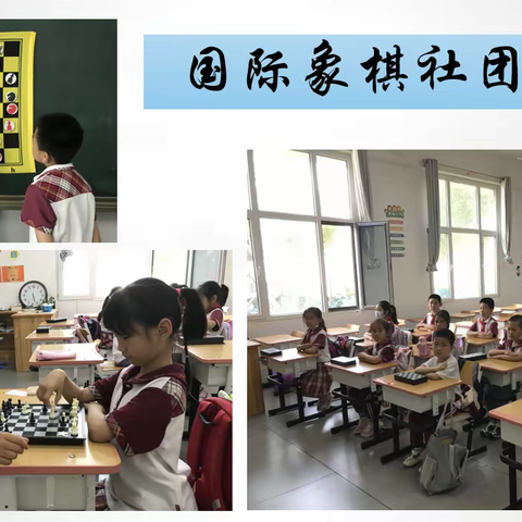 【多彩复兴·社团展示】保定市复兴小学国际象棋社团风采展示