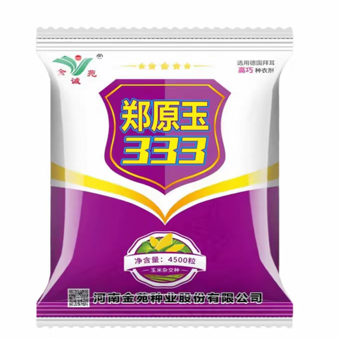 早熟品质优 抗逆高产新标杆——郑原玉333