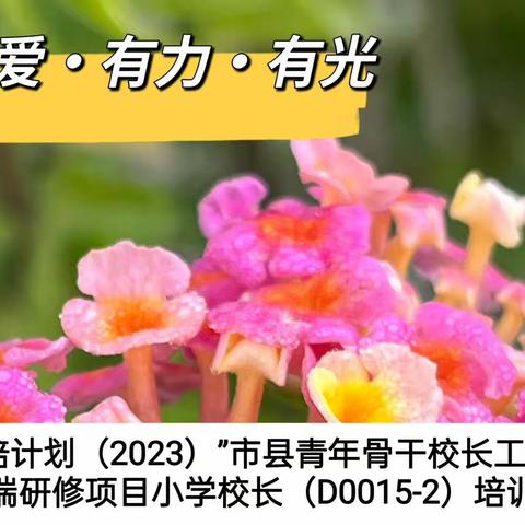李春慧～有爱·有力·有光