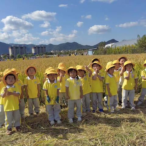 秋日里，我们一起趣秋游——记走进马岙心亲侬农场