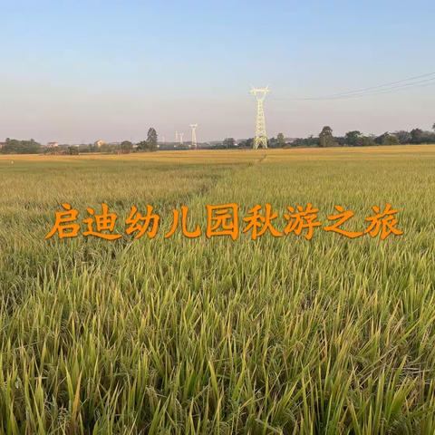 踏一场秋 拾一稻穗🌾 启迪幼儿园朵朵、蕾蕾班级秋游活动