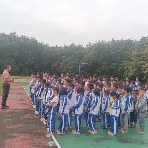 白南小学安全教育