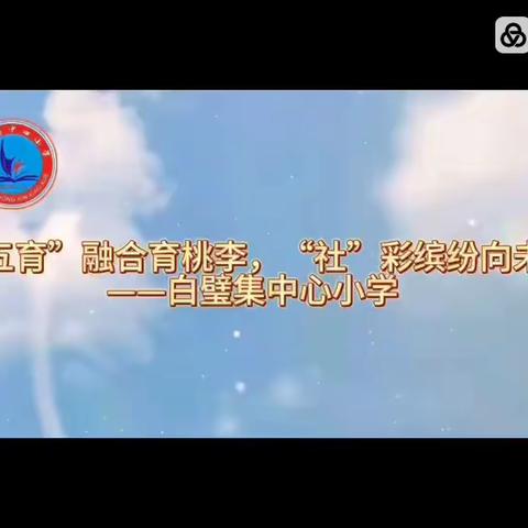 “五育”融合育桃李，“社”彩缤纷向未来——白璧集中心小学优秀社团展播（一）