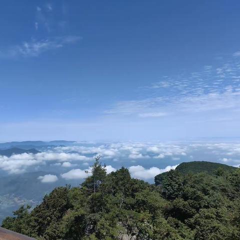 兰池学校开展师生食品安全宣教活动