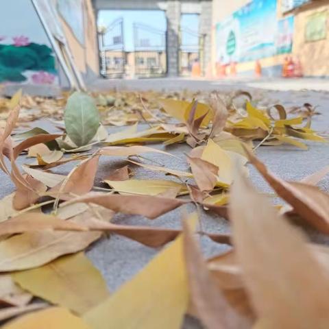 东关幼儿园手工活动之          把秋天装进篮子里