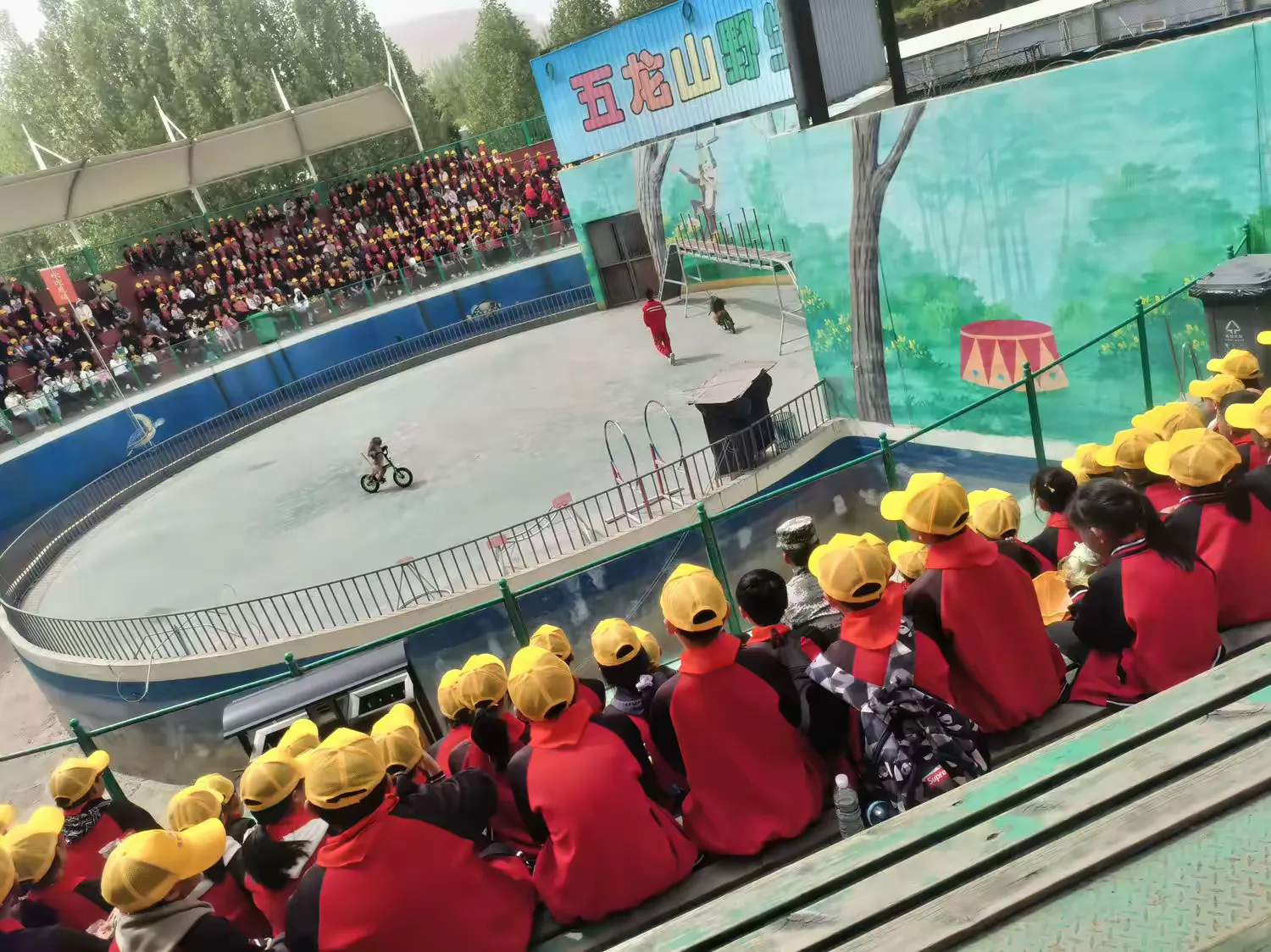简篇-研学旅行促成长,最美风景在路上——桥头小学开展以“探索动物世界,传承红色经典”为主题的研学实践活动