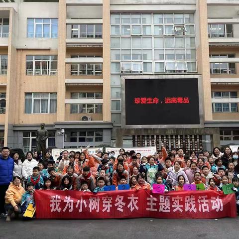 不负好时光 刷树护绿忙——博才阳光实验小学1803班“我为小树穿冬衣”主题实践活动