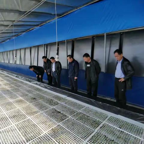 强化质量管理 保障原料供给上水平