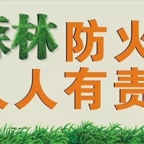 森林防火，人人有责——海口市桂林洋中心小学全体学生活动纪实