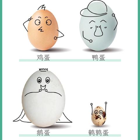 你好，鸡蛋—五里川中心幼儿园小二班班本课程