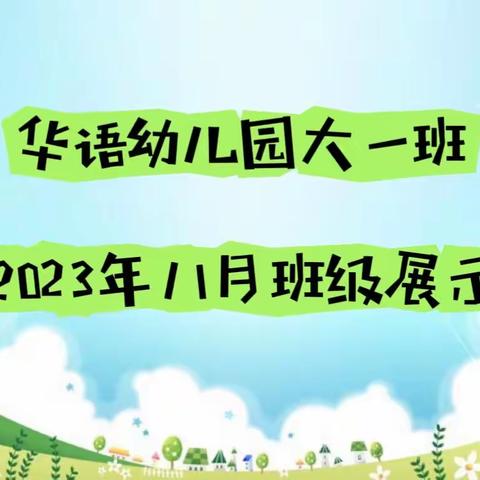 海口市美兰区华语幼儿园 “大一班”     11月份班级展示