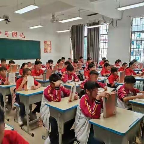 实习研修促成长，学思悟行共提升