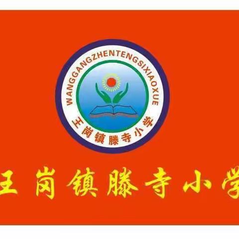 美丽的校园一天的生活