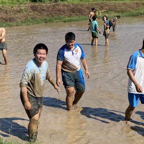 10班学农照片（续）