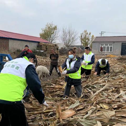 志愿服务我先行                                         青春助力乡村振兴