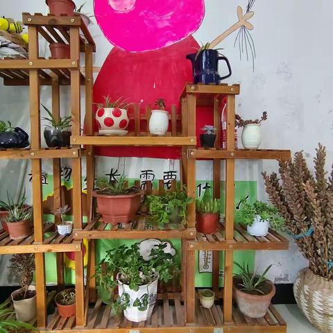小小植物角，创意生态园——盘车沟社区幼儿园